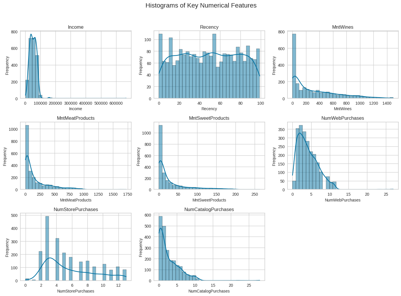 Histograms of key numerical customer features
